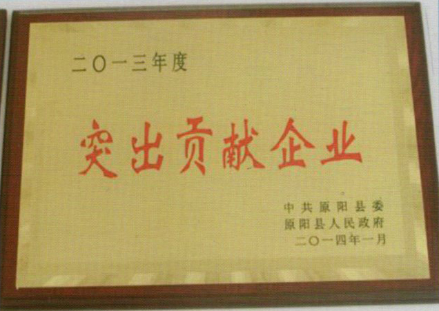 突出貢獻(xiàn)企業(yè)